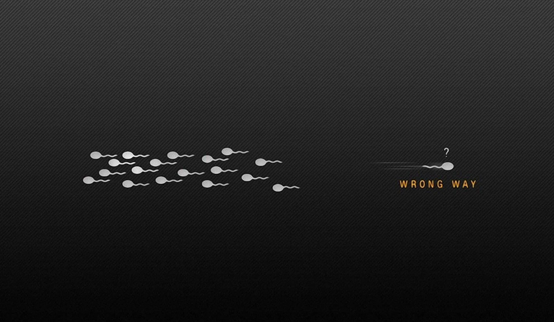 A tight shoal of pale fish swims one way across a dark grey field while a single one heads back, two small words set beside it.