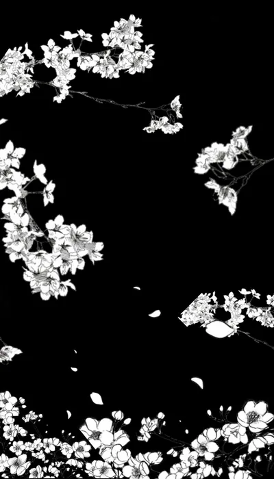 Clusters of white cherry blossoms hang along the top and bottom of a pure black frame, loose petals falling through the empty middle where the clock sits.