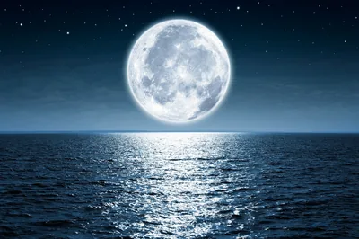 A full moon lays a sparkling path of light down the open sea, the horizon set low so sky fills most of the frame.