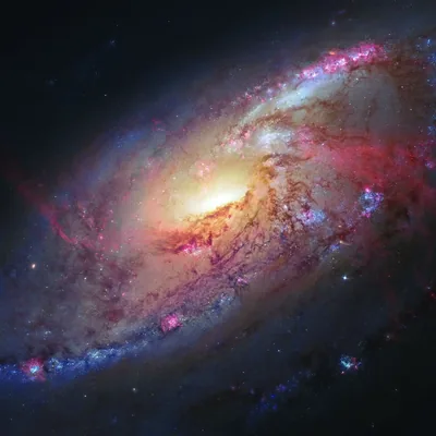 A close telescope view of a spiral galaxy, pink star-forming regions burning along dust lanes that curl into a bright yellow centre.