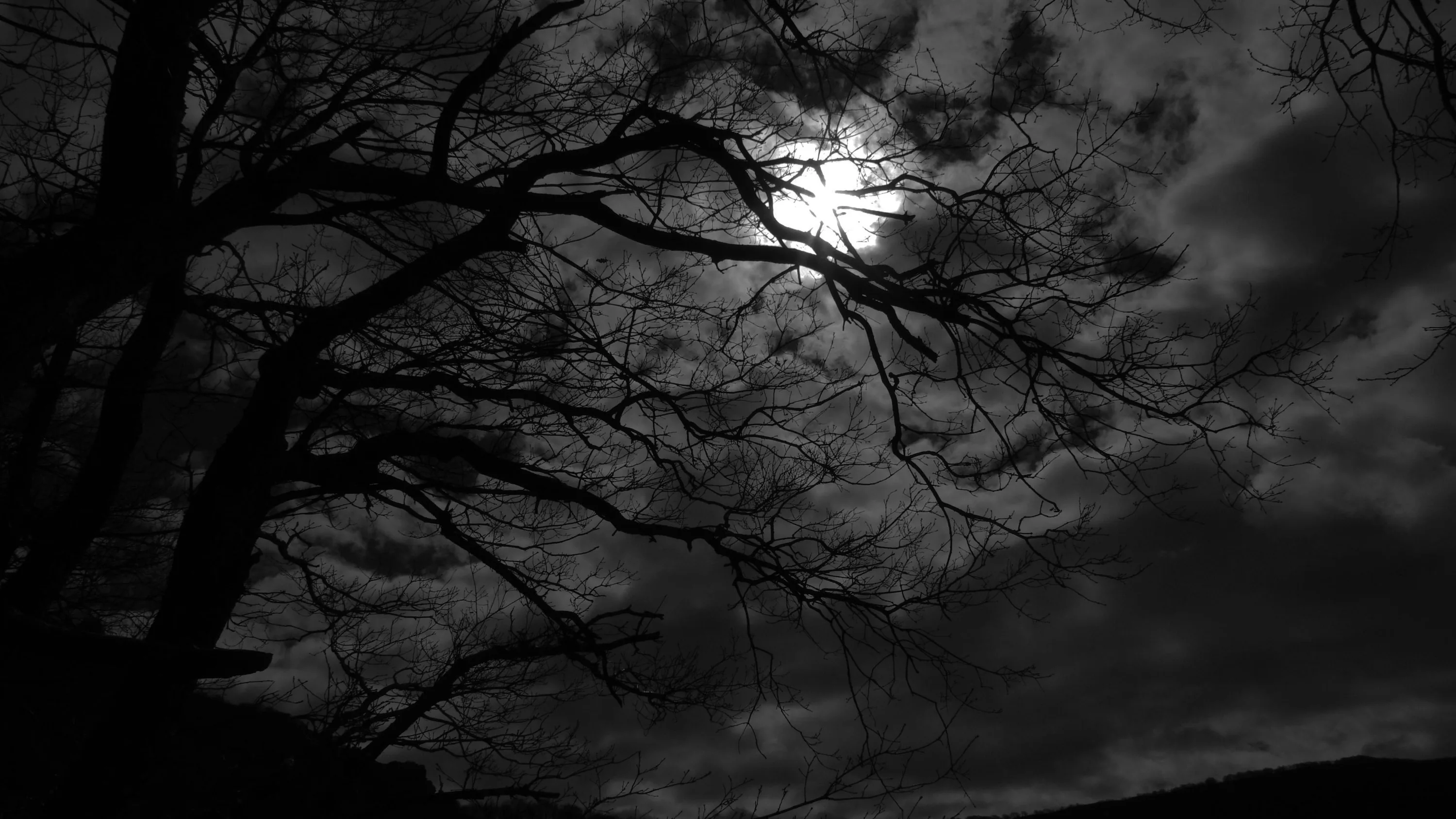 Black and white: the moon burns through a tangle of bare tree branches, clouds moving across the sky.