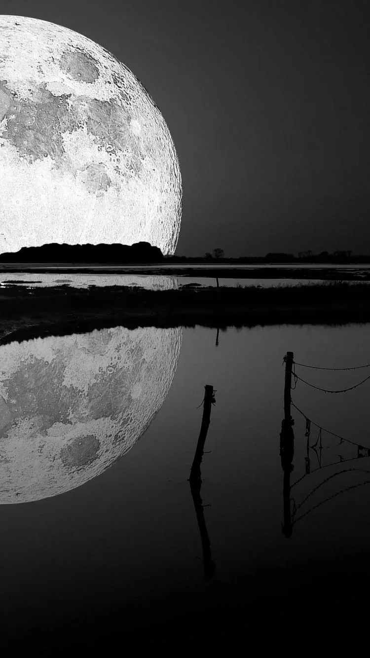 An oversized moon presses into the left edge and repeats in the dark water below, wire fence posts crossing the lower right in black and white.