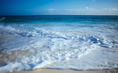 A close-up of dense foam sliding back over wet sand, fine bubble texture filling the lower half while the sea blurs away behind.
