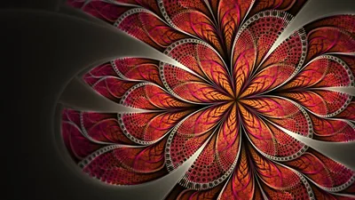 A fractal flower with lace-edged red petals blooms right of centre on smoky grey fading to black, leaving the left third open for icons.