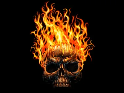 Tall orange flames pour up off a skull's crown and hollow eyes against pure black, the fire lighting the cheekbones from beneath.