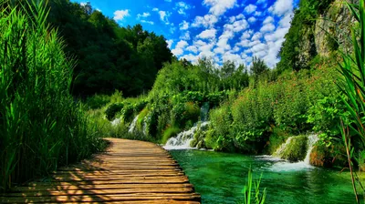 Warm boards run up the centre past a chain of small travertine cascades, tall grasses closing in on both sides of this deeply saturated scene.