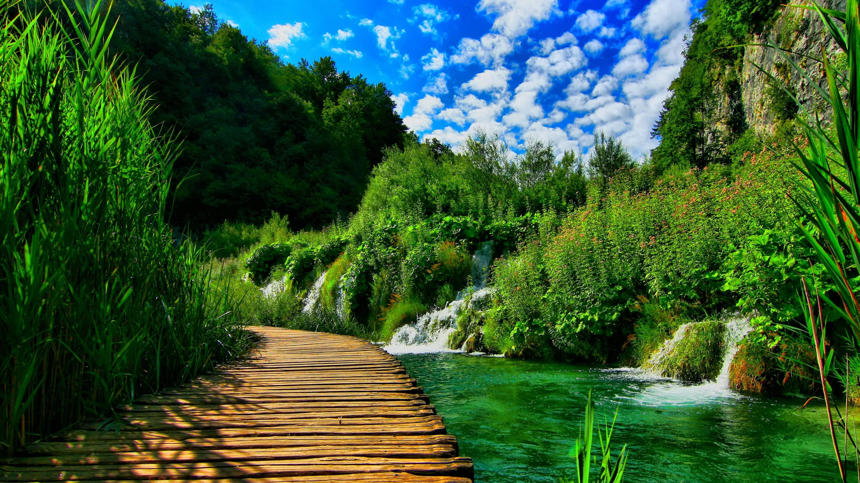 Warm boards run up the centre past a chain of small travertine cascades, tall grasses closing in on both sides of this deeply saturated scene.