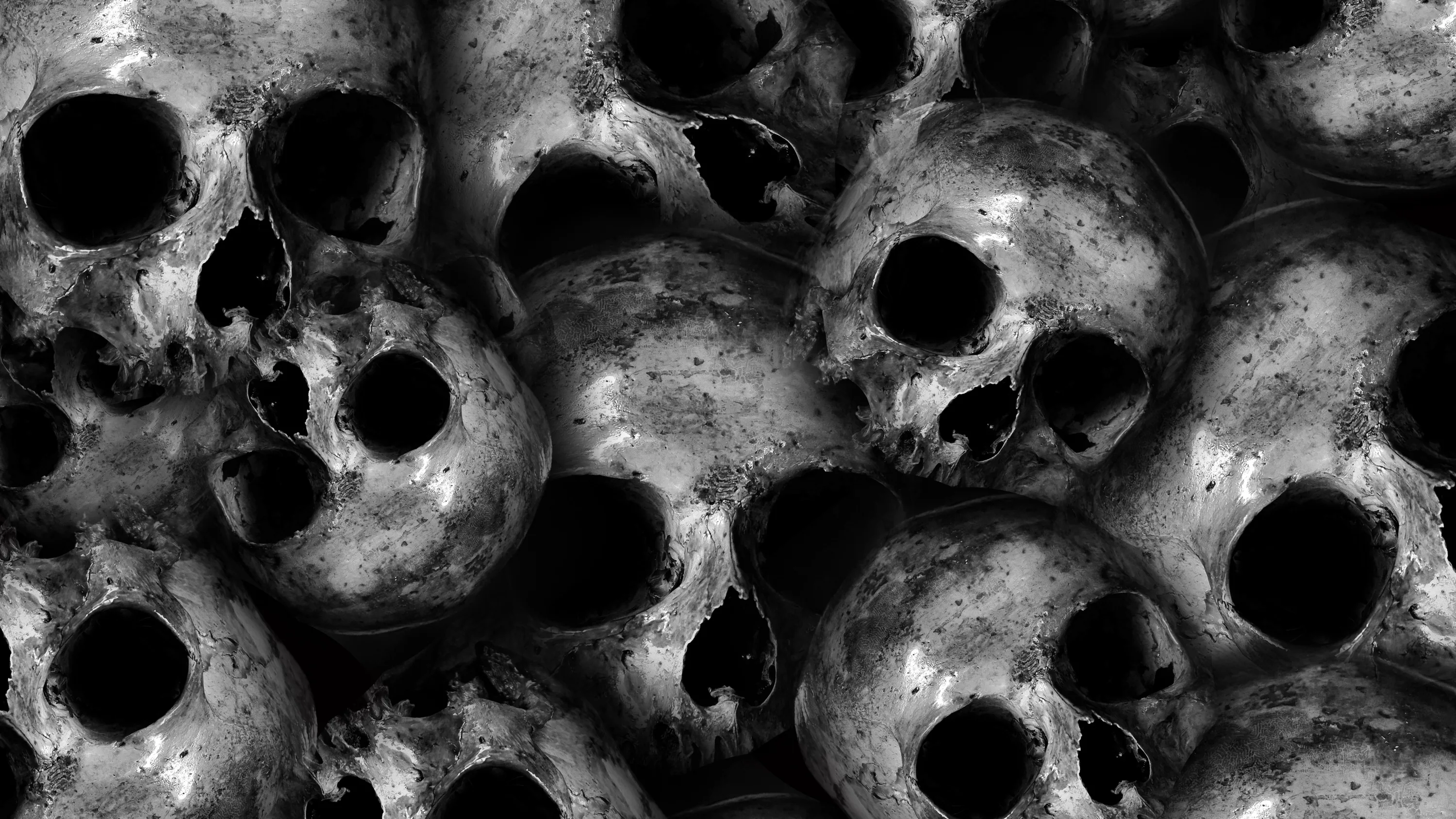 Cracked skulls packed edge to edge in harsh monochrome, empty eye sockets reading as pure black holes across the frame.