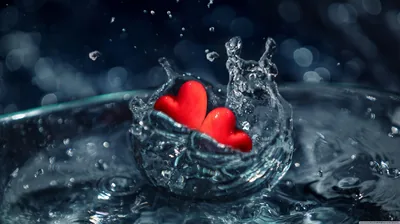 Two red hearts sit inside the crown of a splash, droplets suspended around them and the background thrown into soft blue bokeh.