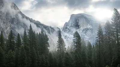 Cloud and mist drift past Half Dome's granite face over a rank of dark conifers, grey sky across the top keeping a menu bar readable.
