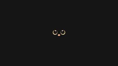 Two amber eyes and a small pink nose float in a black field — nothing else of the cat is visible.