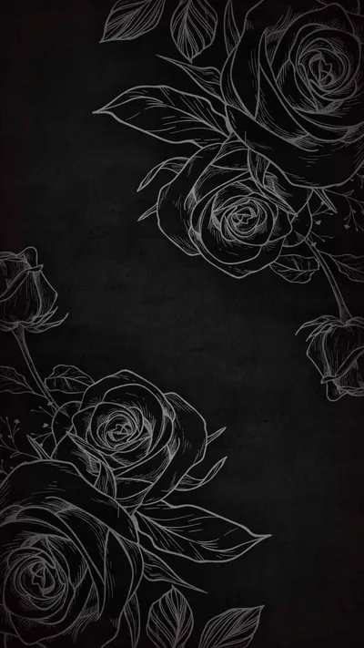 Roses and leaves drawn in thin white outline sprawl across a matte black surface, the stems trailing off past the bottom edge.