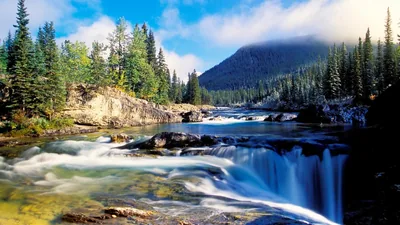 Long exposure turns the rapids to white silk sliding over dark ledges, spruce spires standing against a fog bank below the shadowed mountain.