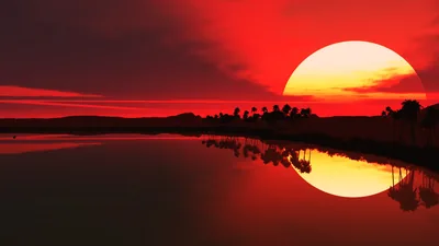 A huge white-rimmed sun sets behind palm silhouettes in this CGI scene, the crimson sky repeating in the still lake below.