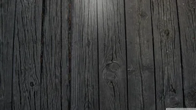 Vertical boards of charred, split wood run top to bottom, knots and grain picked out by light coming in from the left.