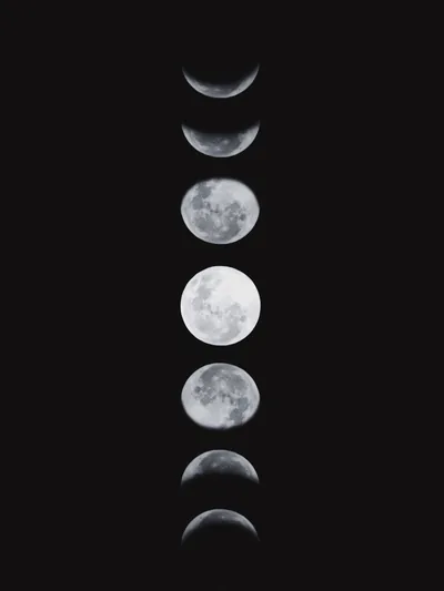Phases run top to bottom from thin crescent to bright full disc and back, wide black margins on either side of the column.