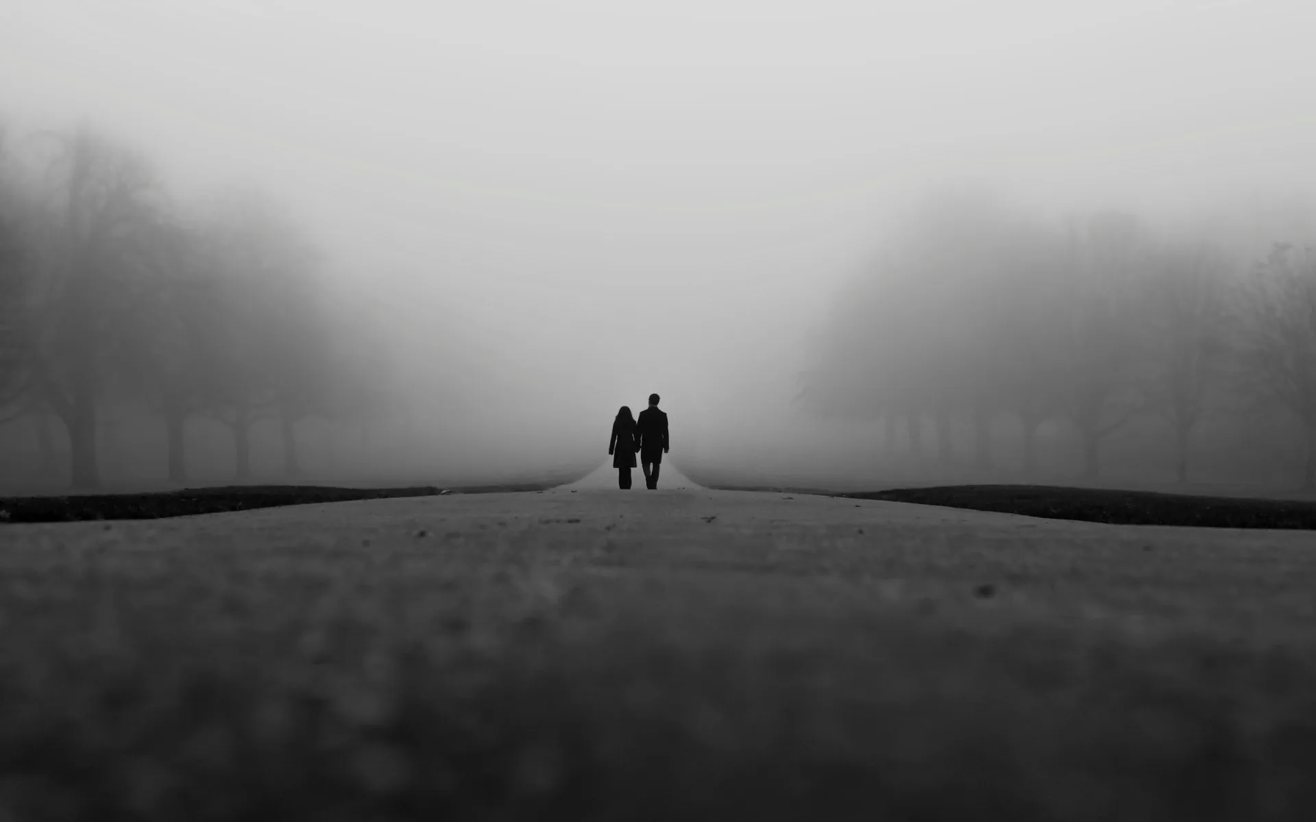 Two figures walk away along an empty road, bare trees and the horizon dissolving into white fog in this monochrome shot.