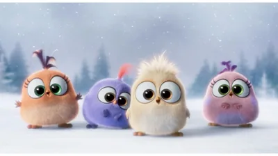Four fluffy chicks with big glossy eyes stand in falling snow, the blurred white backdrop bright enough to swallow a white clock.