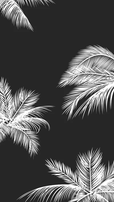 Hand-drawn palm fronds spread in from three corners in fine white line work, the centre of the frame left open and black.