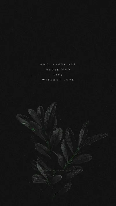 A sprig of narrow leaves emerges from the bottom of a near-black frame, a small line of grey text sitting alone in the upper third.