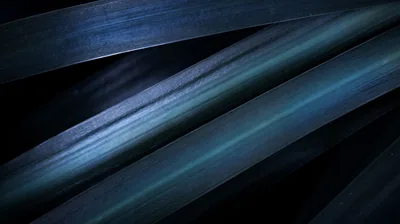 Wide diagonal grass blades sweep across the frame in steel blue and teal, sharpest through the middle, with black gaps opening top left.