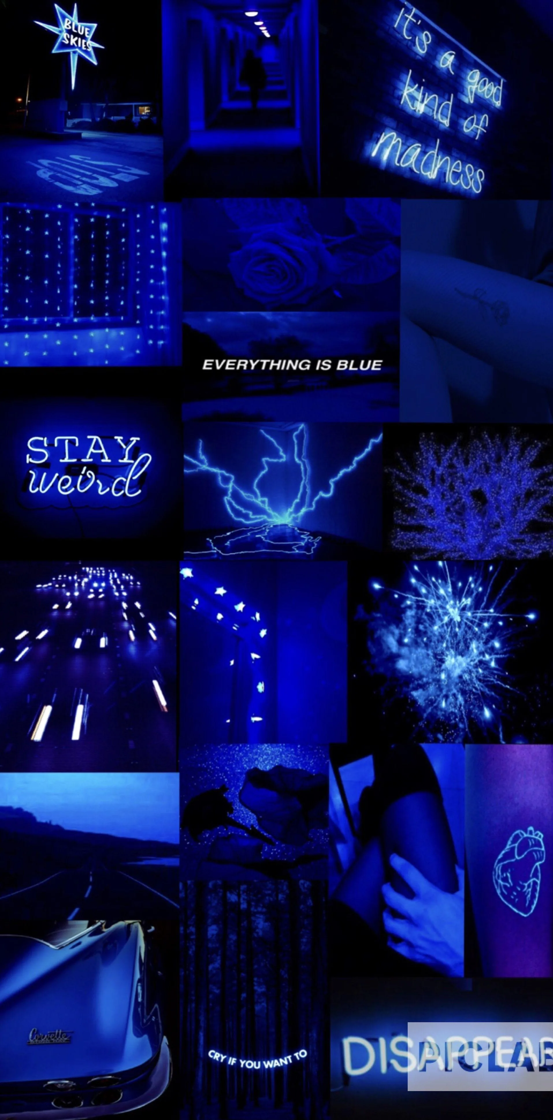 A phone-shaped patchwork of royal blue photos, string lights, coral and cut-out text stacked in uneven rows from the top of the frame to the bottom.