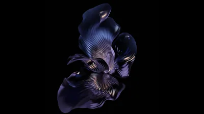A twisted flower form floats on black, its petals shifting from deep blue to gold at the folds.