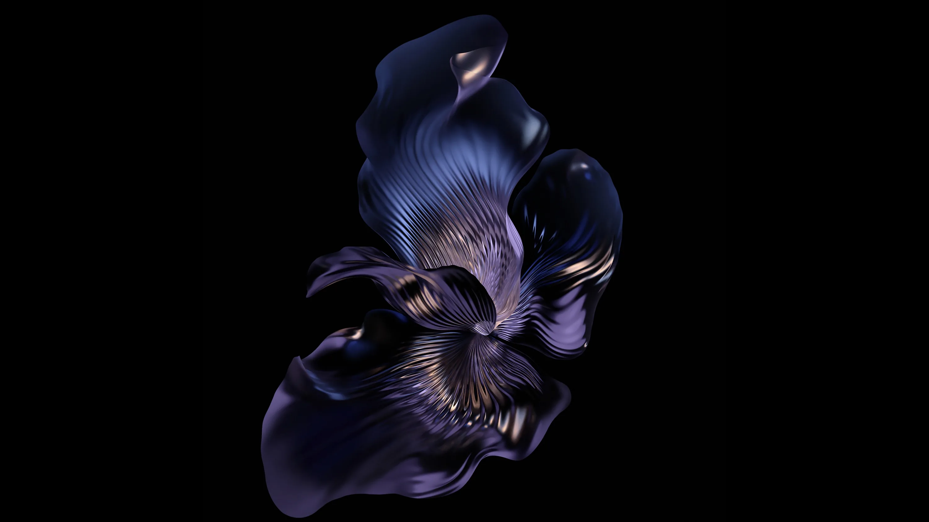 A twisted flower form floats on black, its petals shifting from deep blue to gold at the folds.