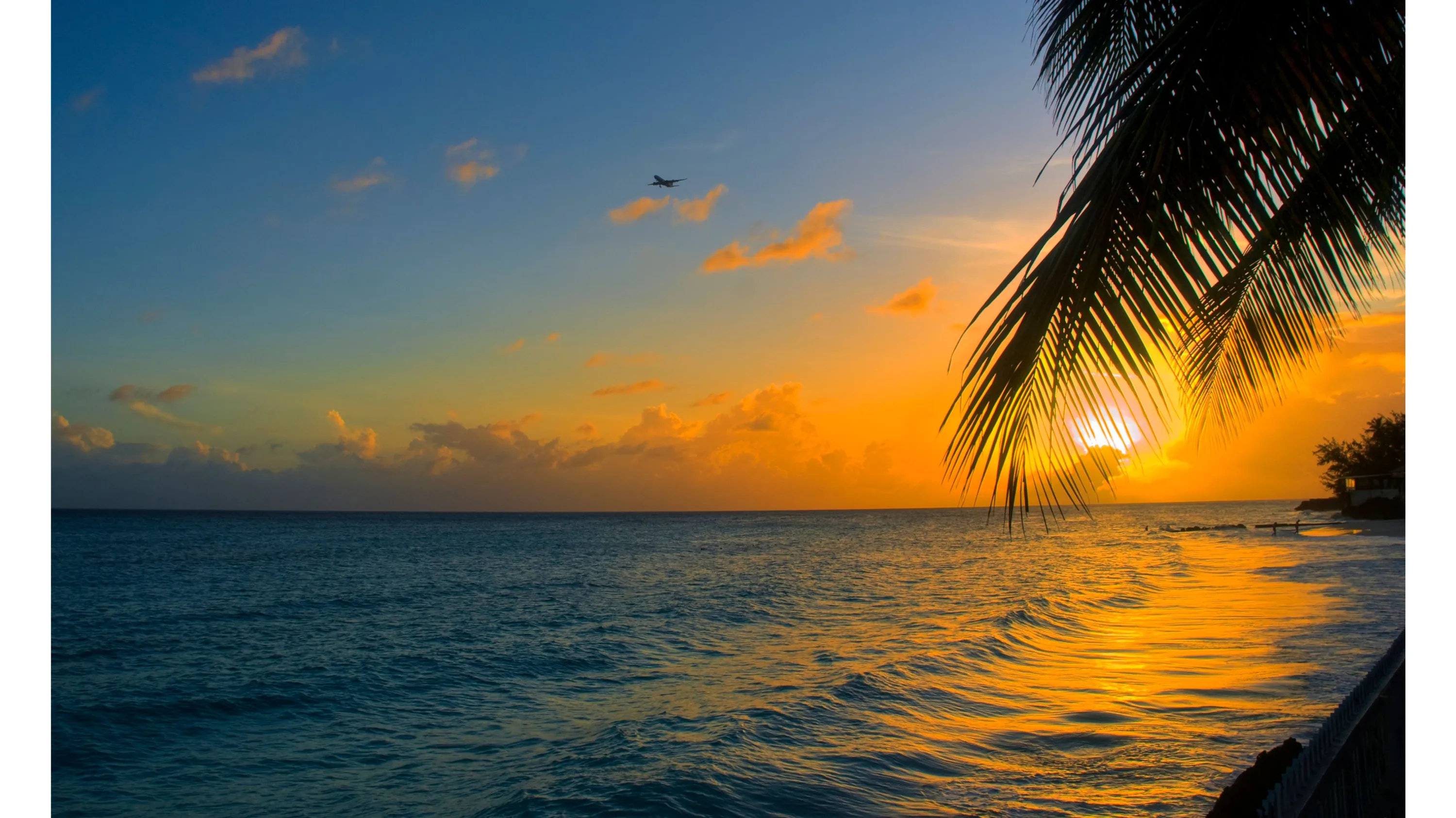 A small plane crosses the upper sky while palm fronds hang in from the right, golden light spreading across a calm sea toward the low sun.