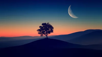 A single tree stands on a hill against a blue-to-orange dusk sky, a thin crescent hanging in the upper right.