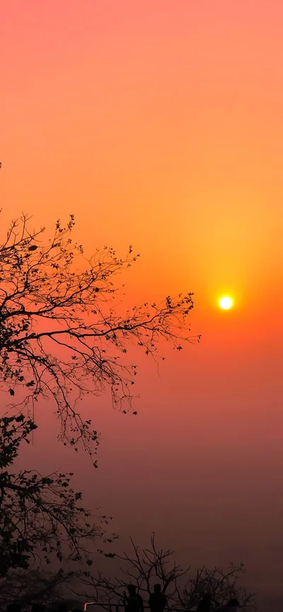 Fog flattens everything to shades of orange while a bare branch reaches in from the left toward a small, pale sun.