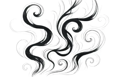 Loose brush-drawn curls and spirals of black ink loop across a clean white background, thinning to hairline strokes at the edges.