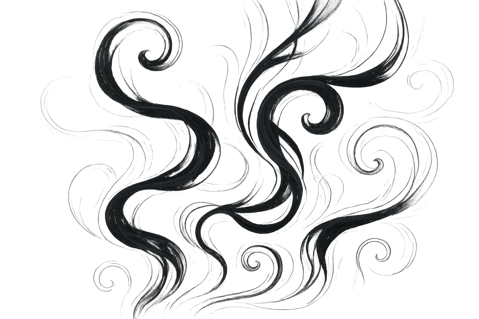 Loose brush-drawn curls and spirals of black ink loop across a clean white background, thinning to hairline strokes at the edges.