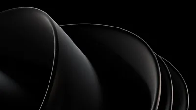 Curved dark shells stack behind one another, a fine white line running along the edge of each one.