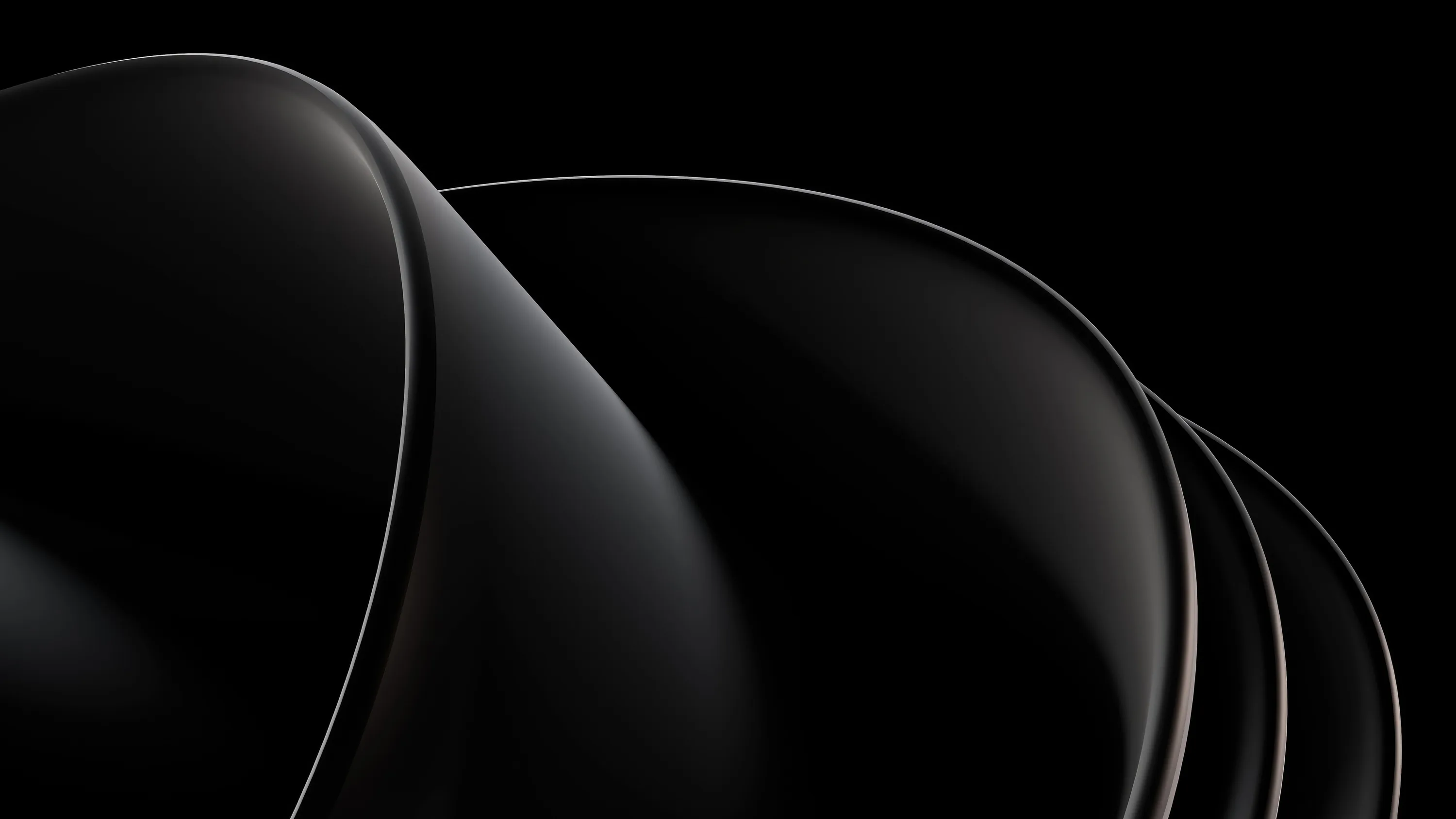 Curved dark shells stack behind one another, a fine white line running along the edge of each one.
