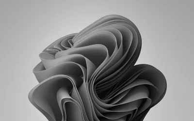 The layered ribbon bloom rendered entirely in greyscale, its folds curling in on themselves against a plain light grey backdrop.