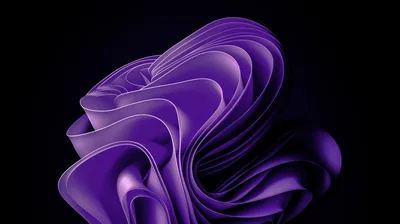 Layered purple folds twist through the centre like fabric caught mid-turn, the Windows 11 bloom shape set on pure black.
