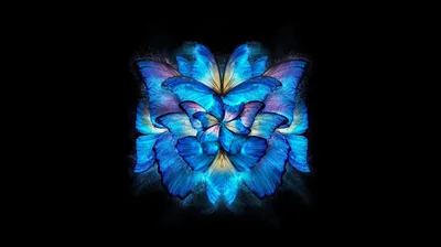 Layered butterfly wings glow electric blue at the centre of an otherwise empty black field, the pattern mirrored down the middle.