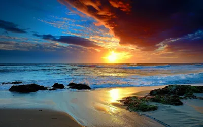Wet channels of sand mirror the low sun between weed-covered rocks, heavy clouds sweeping diagonally across a blue and orange sky.
