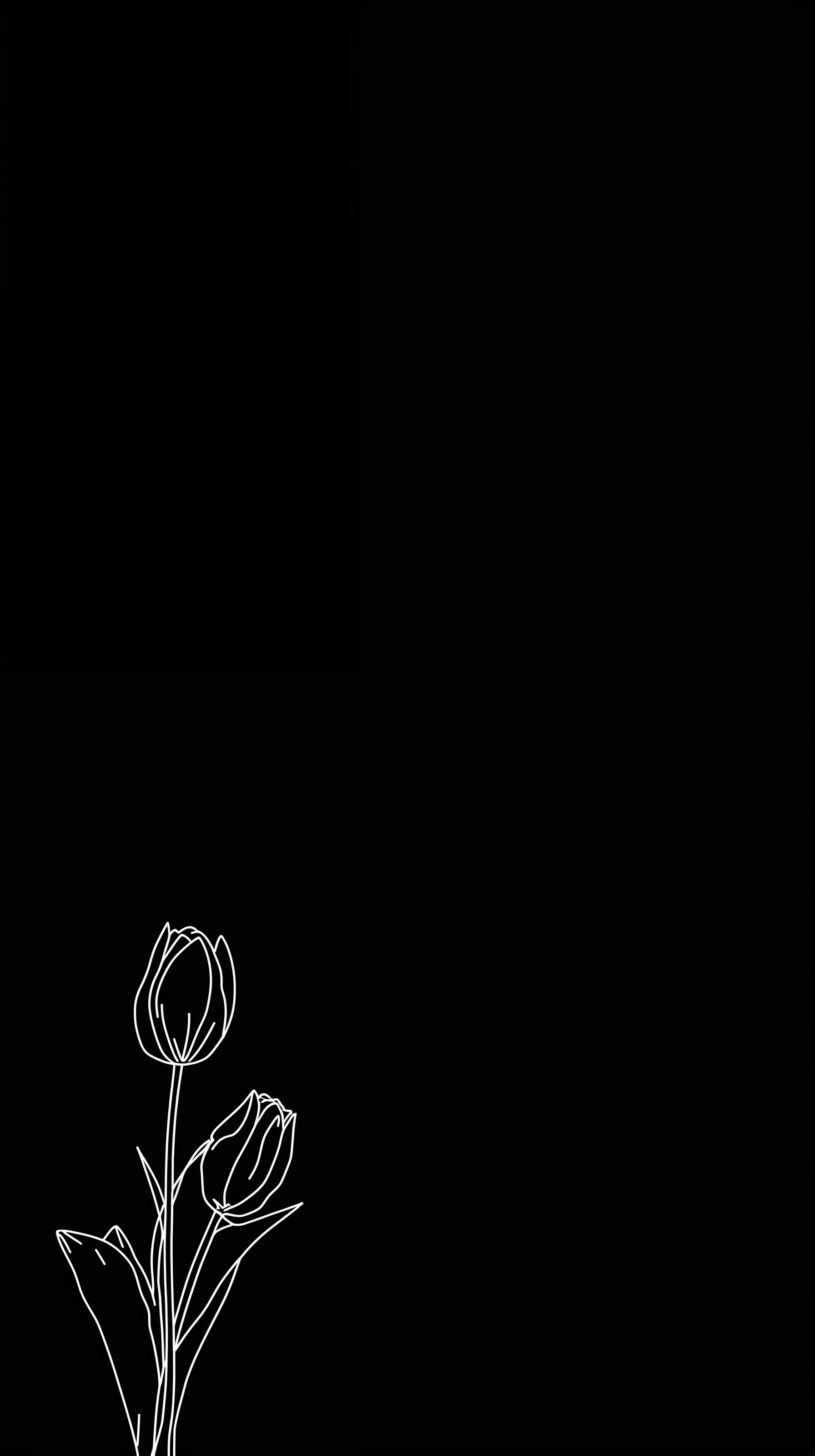 Two tulips outlined in thin white ink sit low in the left corner, the rest of the frame left empty.