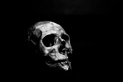 A weathered skull lit from one side against solid black, half the face falling away into shadow.