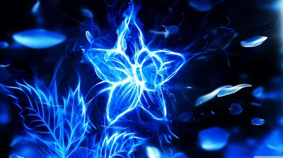 A five-petal flower drawn in glowing blue outlines sits at the centre with leaves below, loose petals floating in the darkness around it.