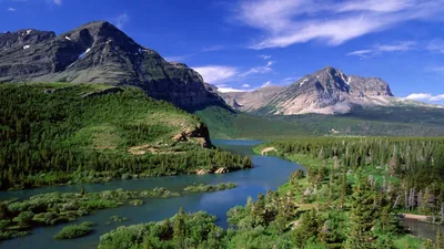 A green river bends between pine forest and two broad rocky mountains under summer cumulus, classic Montana parkland in bright midday light.