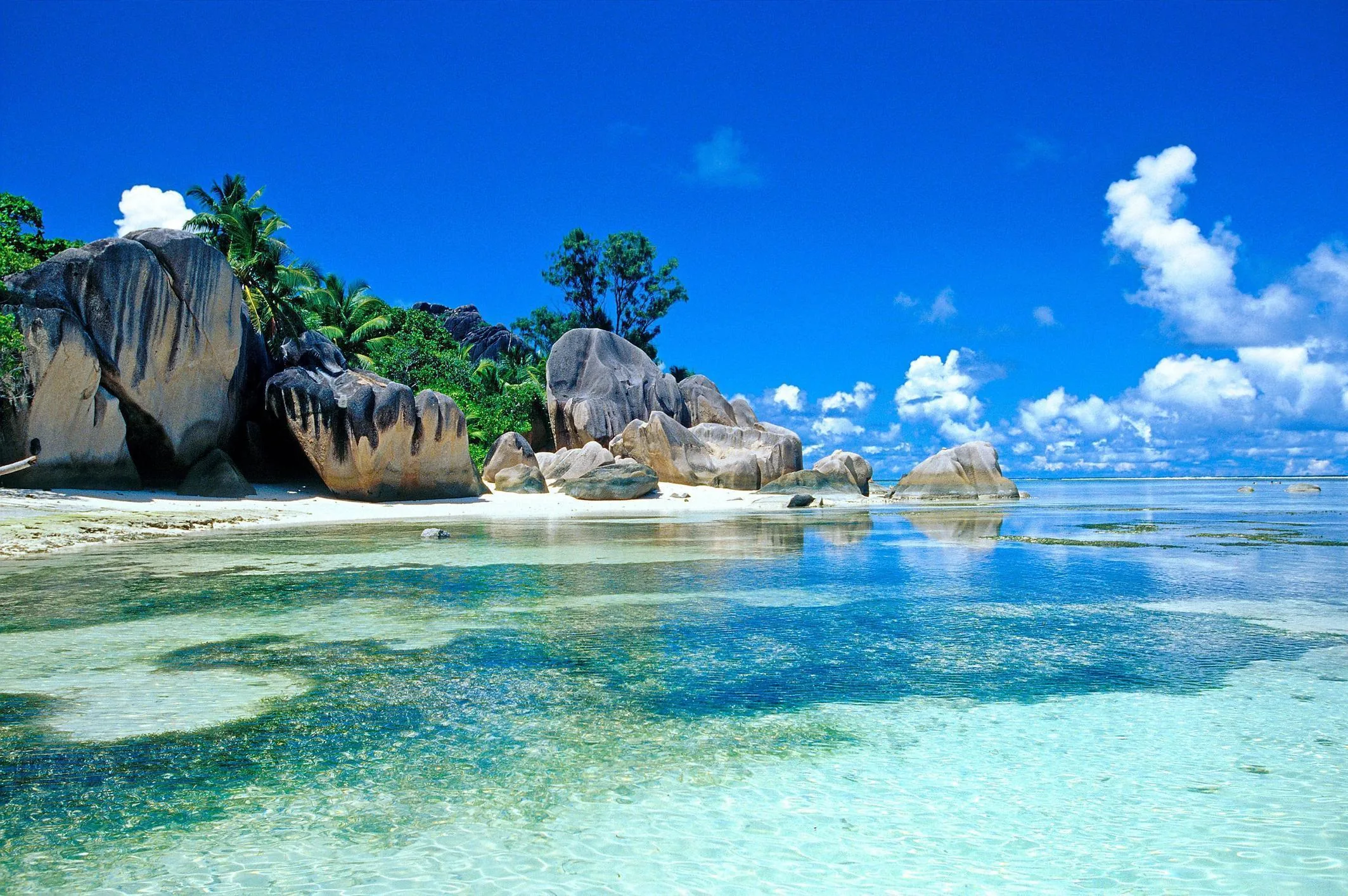 Sculpted granite boulders rise from a lagoon so clear the sand shows through, palm heads and cumulus clouds filling in the skyline behind.