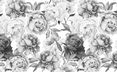 Full peony heads and leaves repeat edge to edge in soft pencil-grey watercolour, leaving small white gaps between the blooms.
