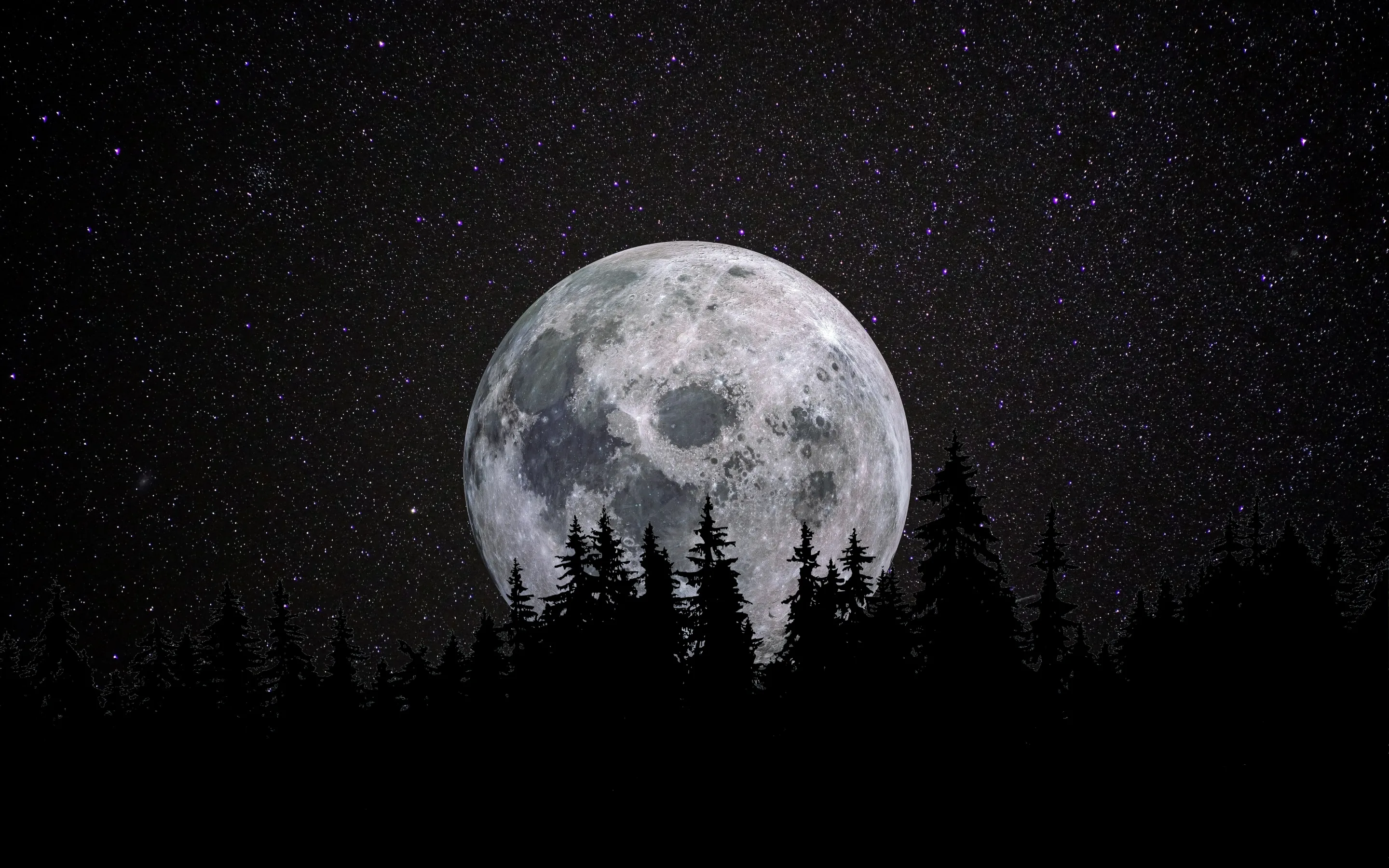 A grainy black-and-white moon rises behind jagged spruce tops, the star-speckled sky staying dark enough for desktop icons on either side.