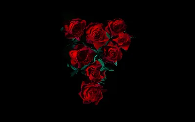 Seven red roses gather in a loose triangle at the centre, thorned stems crossing beneath them and every edge dropping to true black.