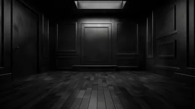 Empty panelled room in grainy black and white, a skylight dropping the only light onto dark plank floors — the whole lower half stays dark.