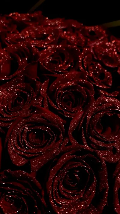 A bouquet of dark red roses dusted with sparkling droplets fills the whole tall frame, the blooms falling away into near-black shadow toward the top.