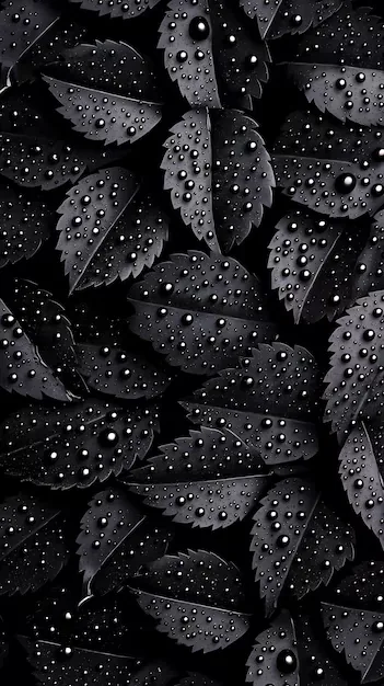 Pointed leaves overlap edge to edge, each one beaded with rain, the whole frame in deep monochrome with no sky showing.